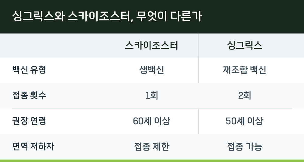 싱그릭스와 스카이조스터, 무엇이 다른가