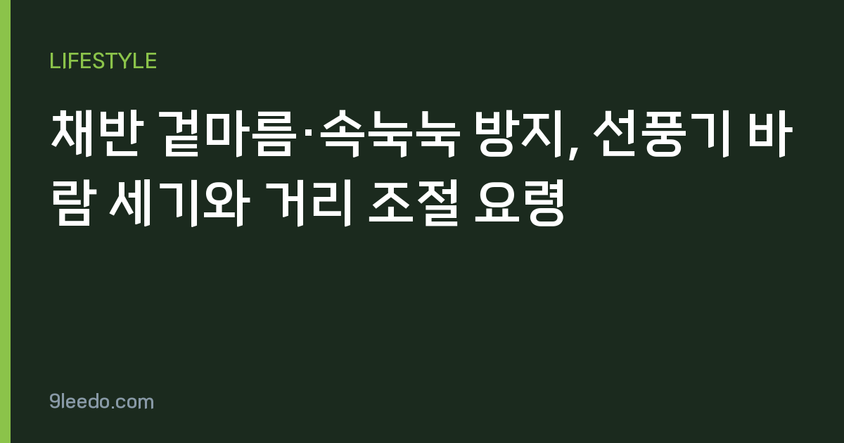 채반 겉마름·속눅눅 방지, 선풍기 바람 세기와 거리 조절 요령