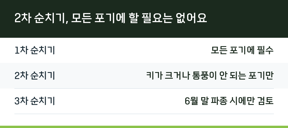 2차 순치기, 모든 포기에 할 필요는 없어요