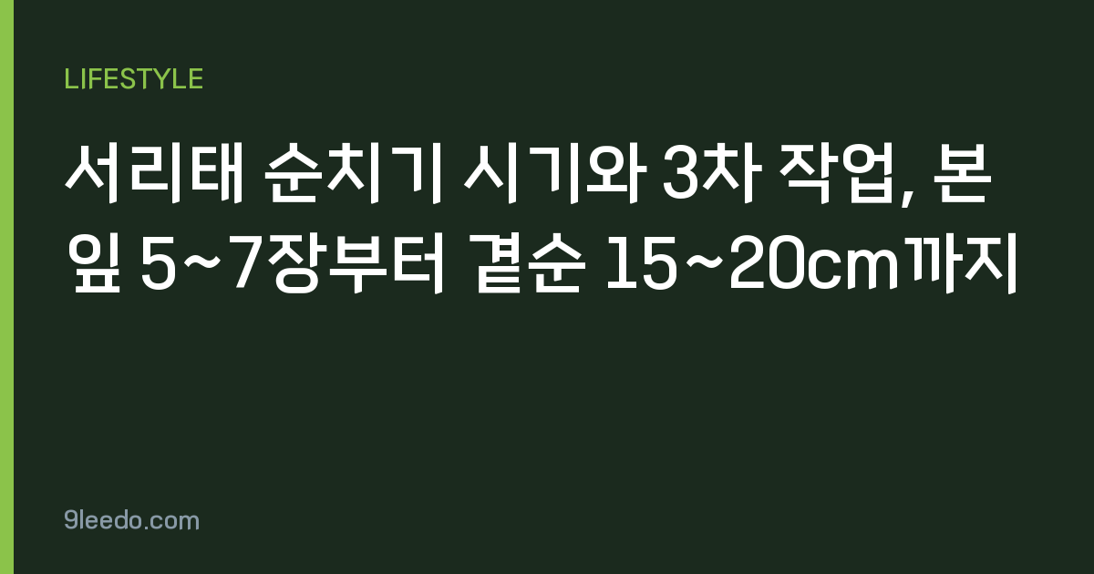 서리태 순치기 시기와 3차 작업, 본잎 5~7장부터 곁순 15~20cm까지