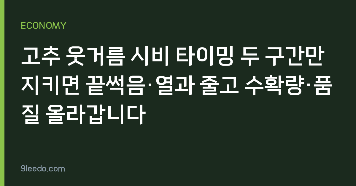 고추 웃거름 시비 타이밍 두 구간만 지키면 끝썩음·열과 줄고 수확량·품질 올라갑니다
