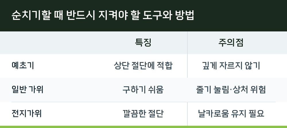순치기할 때 반드시 지켜야 할 도구와 방법