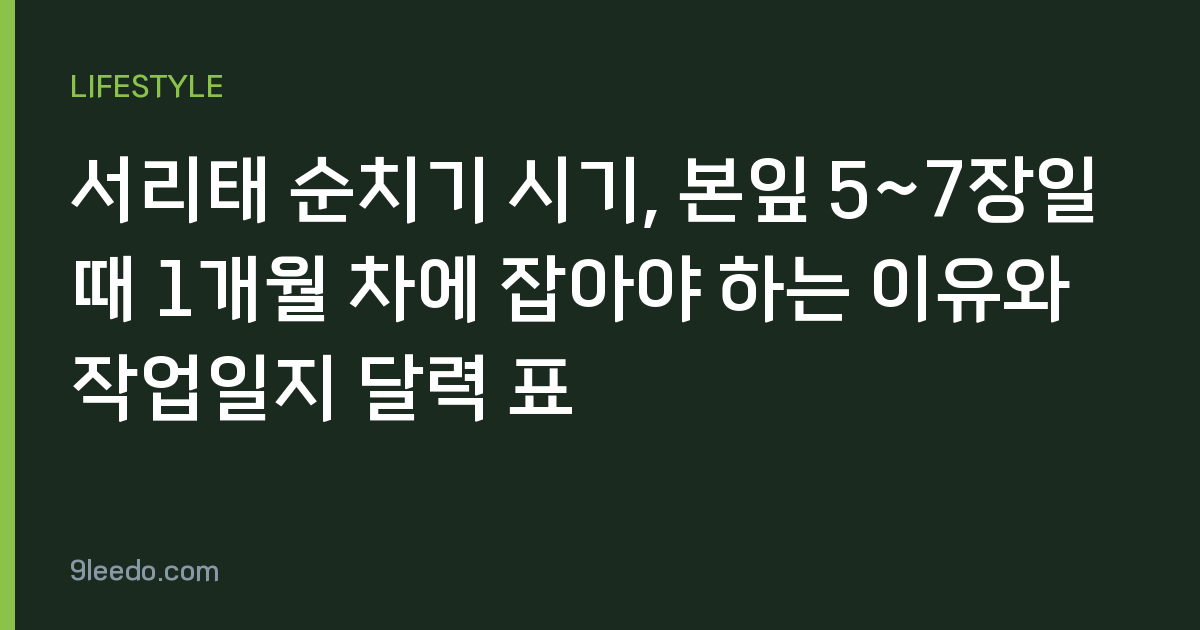 서리태 순치기 시기, 본잎 5~7장일 때 1개월 차에 잡아야 하는 이유와 작업일지 달력 표