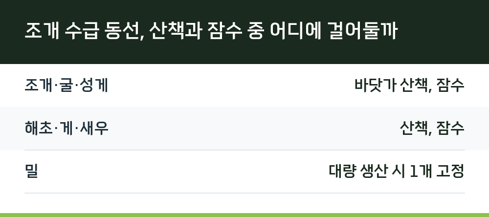 조개 수급 동선, 산책과 잠수 중 어디에 걸어둘까