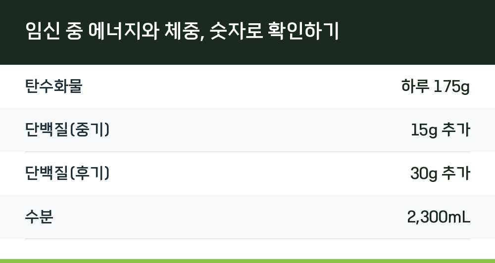 임신 중 에너지와 체중, 숫자로 확인하기