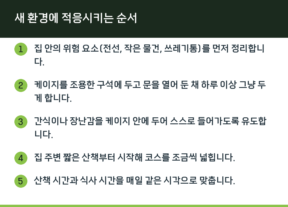 새 환경에 적응시키는 순서