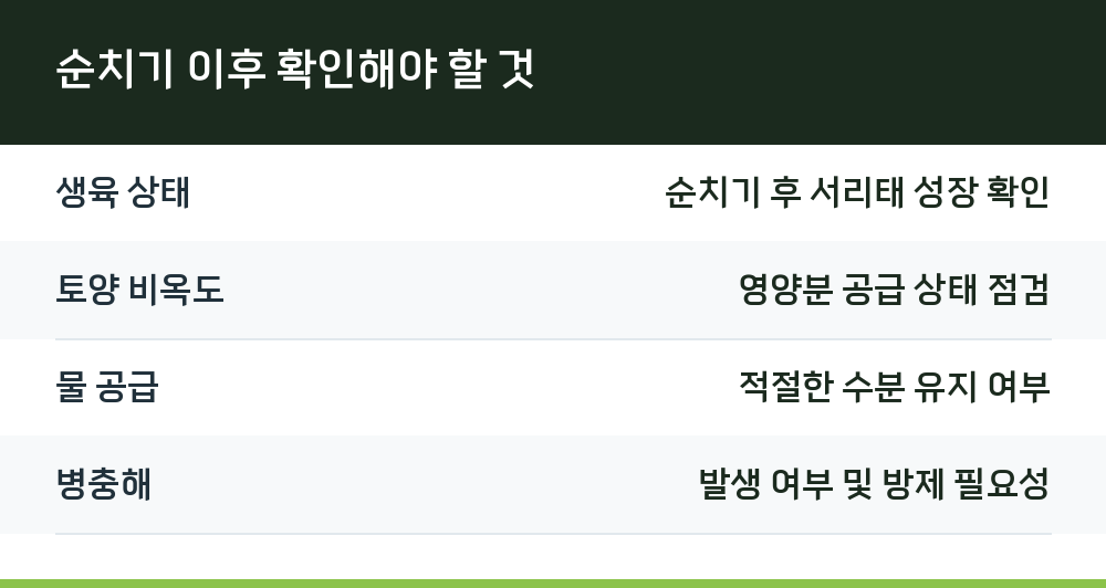 순치기 이후 확인해야 할 것