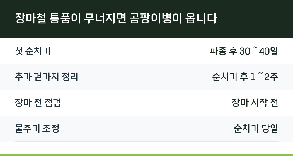 장마철 통풍이 무너지면 곰팡이병이 옵니다