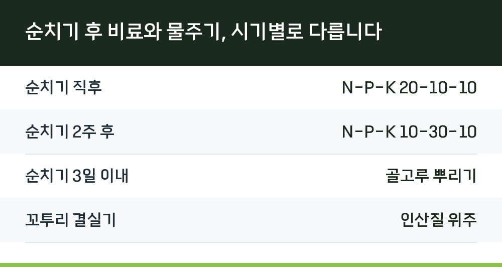 순치기 후 비료와 물주기, 시기별로 다릅니다