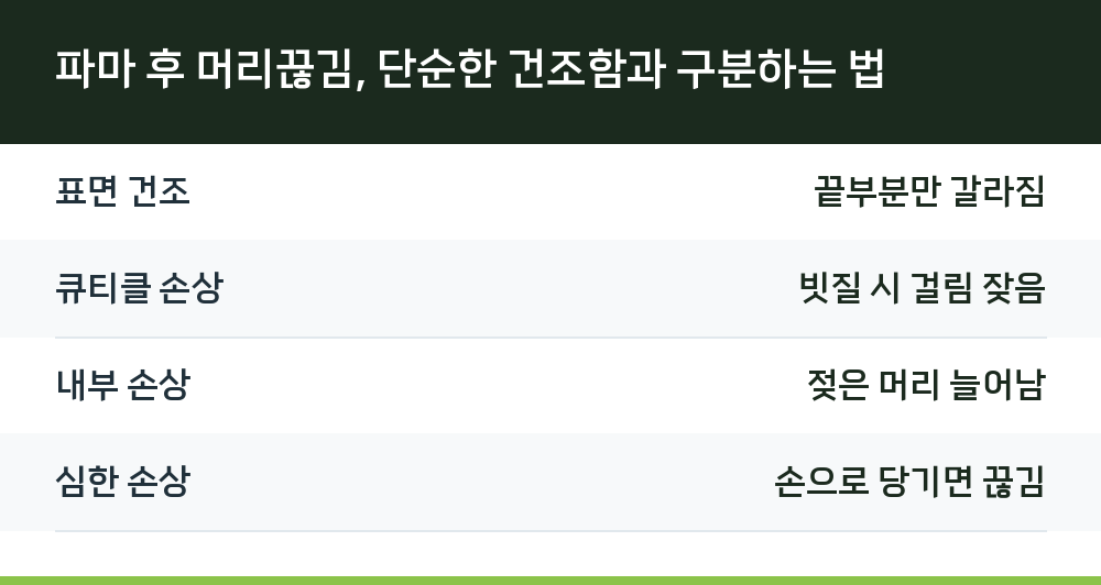 파마 후 머리끊김, 단순한 건조함과 구분하는 법