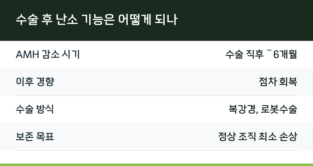 수술 후 난소 기능은 어떻게 되나