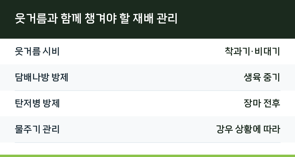 웃거름과 함께 챙겨야 할 재배 관리