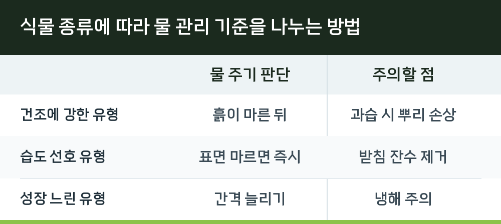 식물 종류에 따라 물 관리 기준을 나누는 방법