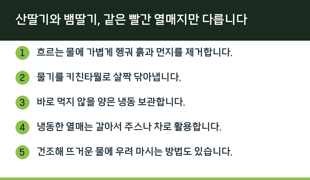 산딸기와 뱀딸기, 같은 빨간 열매지만 다릅니다