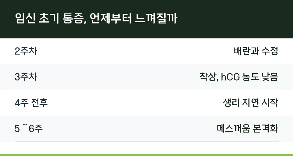 임신 초기 통증, 언제부터 느껴질까