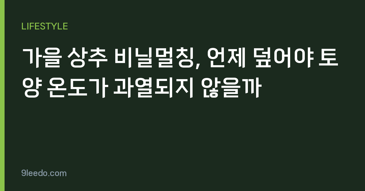 가을 상추 비닐멀칭, 언제 덮어야 토양 온도가 과열되지 않을까