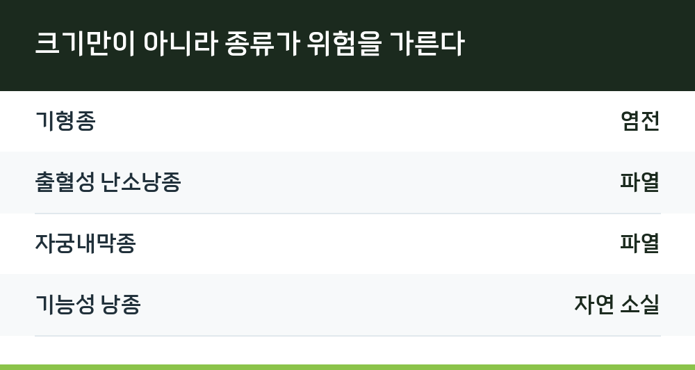 크기만이 아니라 종류가 위험을 가른다