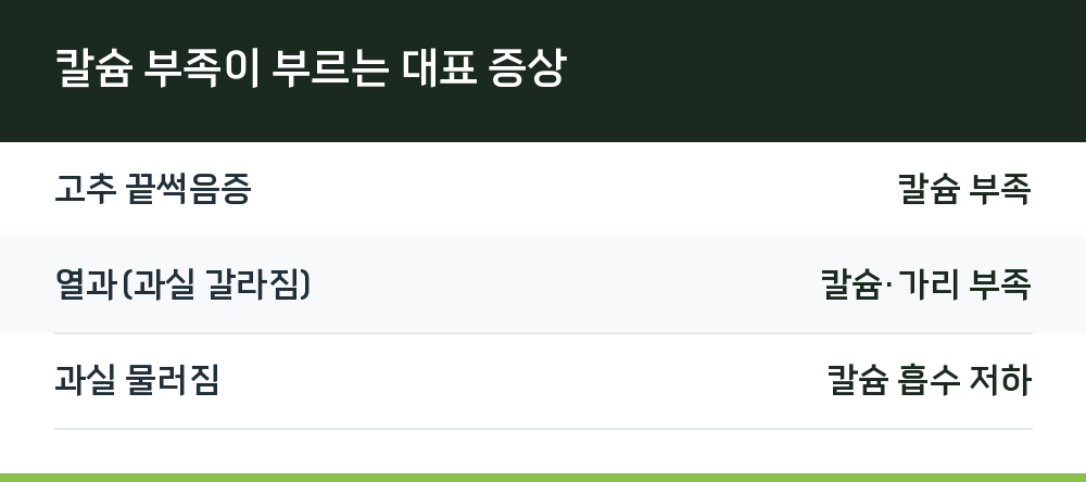 칼슘 부족이 부르는 대표 증상