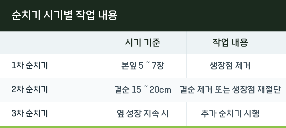 순치기 시기별 작업 내용