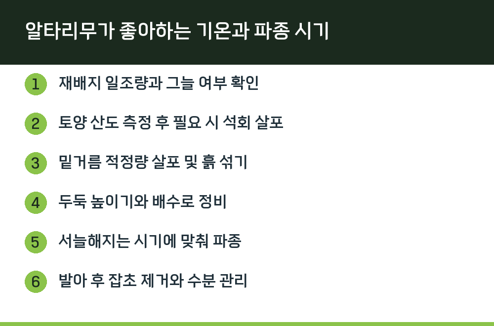 알타리무가 좋아하는 기온과 파종 시기