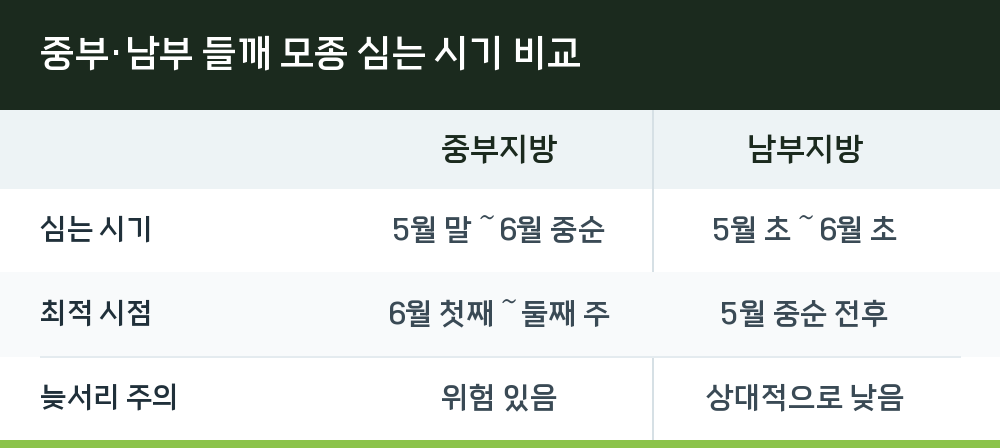 중부·남부 들깨 모종 심는 시기 비교