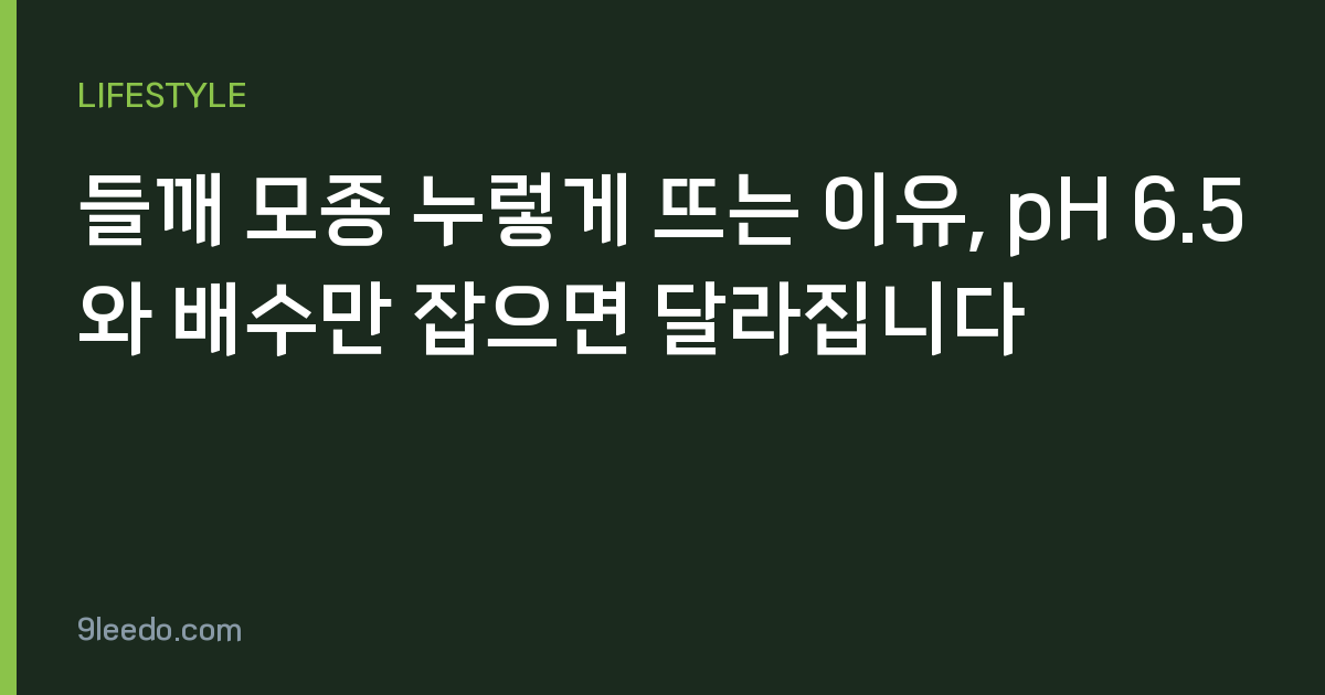들깨 모종 누렇게 뜨는 이유, pH 6.5와 배수만 잡으면 달라집니다