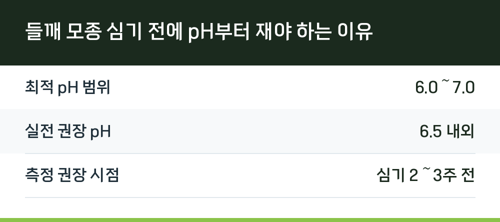 들깨 모종 심기 전에 pH부터 재야 하는 이유