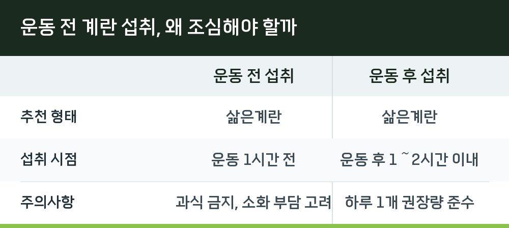 운동 전 계란 섭취, 왜 조심해야 할까
