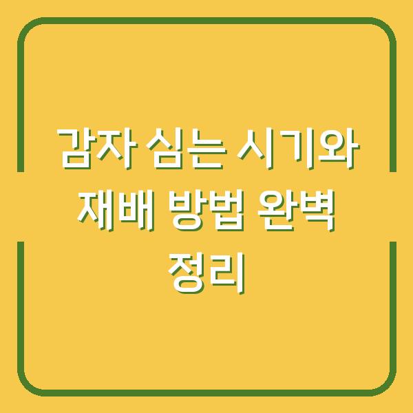 감자 심는 시기와 재배 방법 완벽 정리