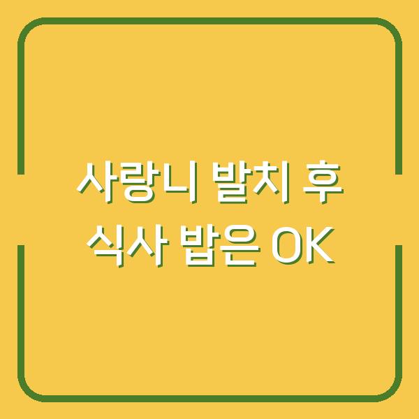 사랑니 발치 후 식사 밥은 OK