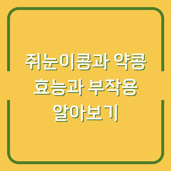 쥐눈이콩과 약콩 효능과 부작용 알아보기