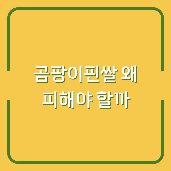 곰팡이핀쌀 왜 피해야 할까