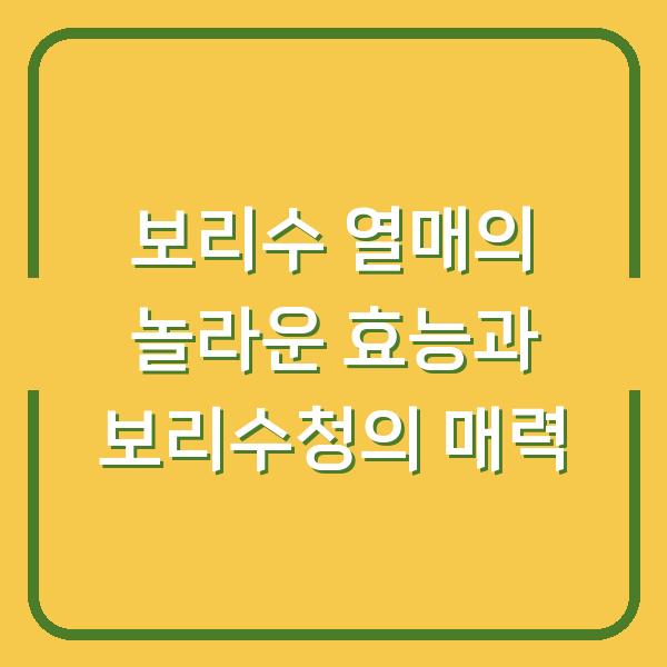 보리수 열매의 놀라운 효능과 보리수청의 매력