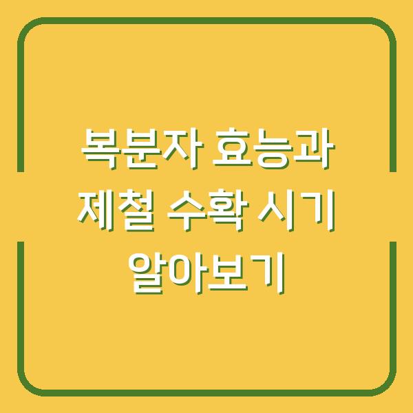 복분자 효능과 제철 수확 시기 알아보기