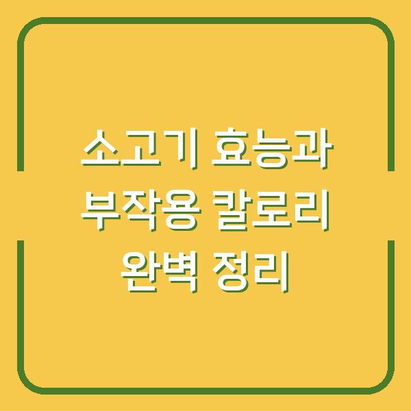 소고기 효능과 부작용 칼로리 완벽 정리