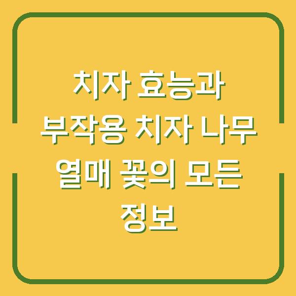 치자 효능과 부작용 치자 나무 열매 꽃의 모든 정보