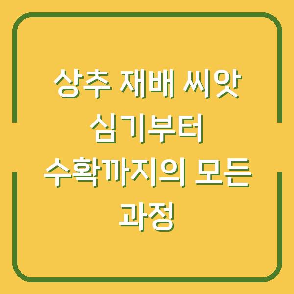 상추 재배 씨앗 심기부터 수확까지의 모든 과정