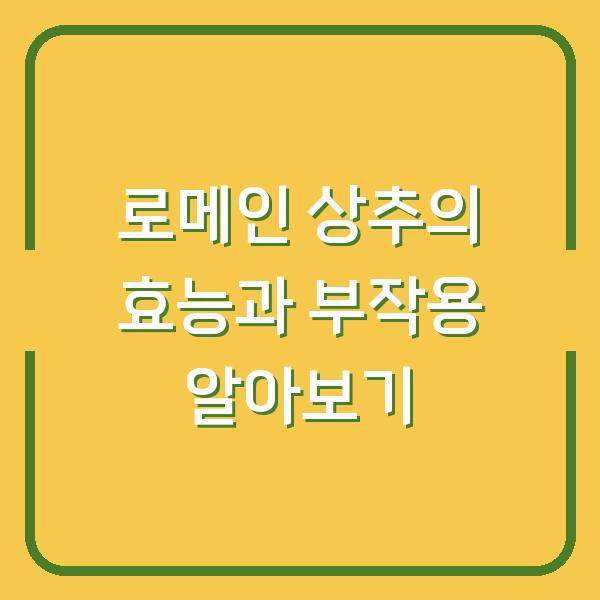 로메인 상추의 효능과 부작용 알아보기
