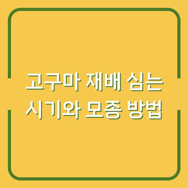 고구마 재배 심는 시기와 모종 방법