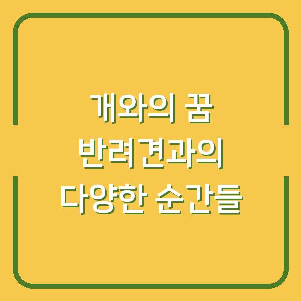 개와의 꿈 반려견과의 다양한 순간들