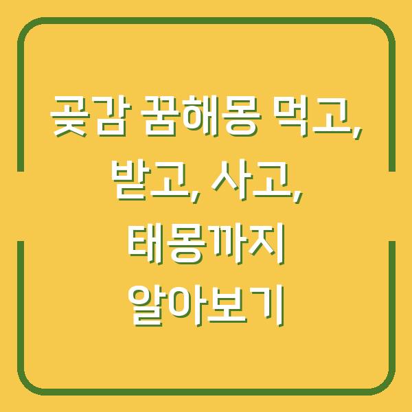 곶감 꿈해몽 먹고, 받고, 사고, 태몽까지 알아보기