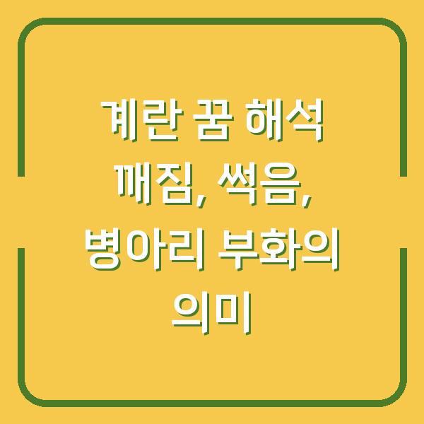 계란 꿈 해석 깨짐, 썩음, 병아리 부화의 의미