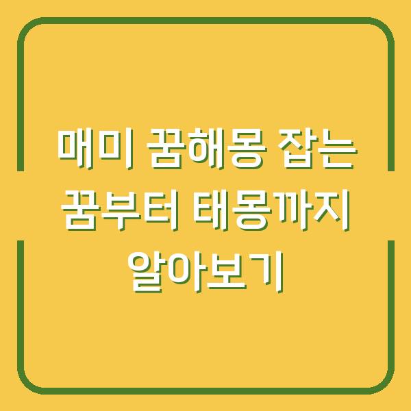 매미 꿈해몽 잡는 꿈부터 태몽까지 알아보기