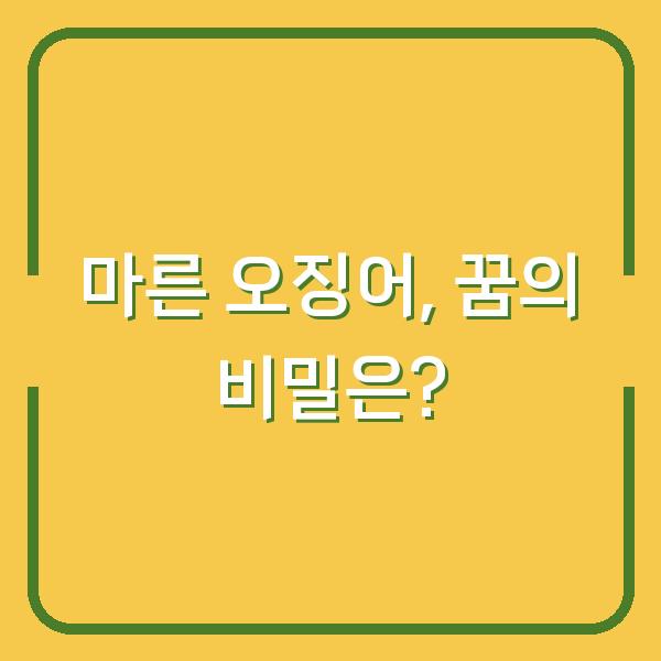 마른 오징어, 꿈의 비밀은?