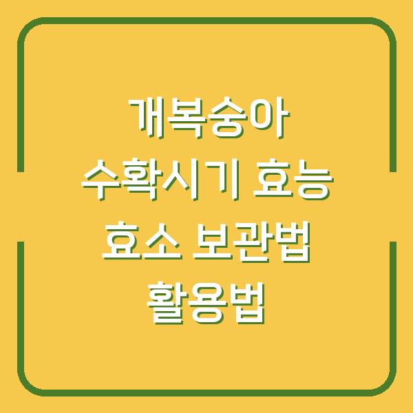 개복숭아 수확시기 효능 효소 보관법 활용법
