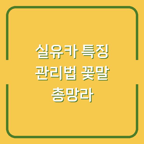 실유카 특징 관리법 꽃말 총망라