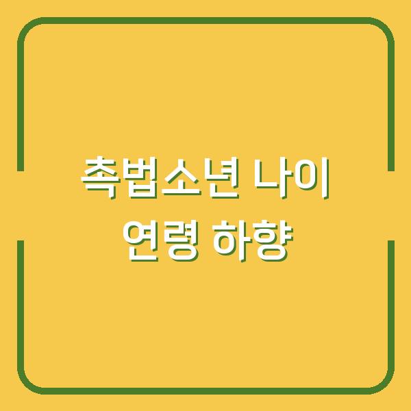 촉법소년 나이 연령 하향