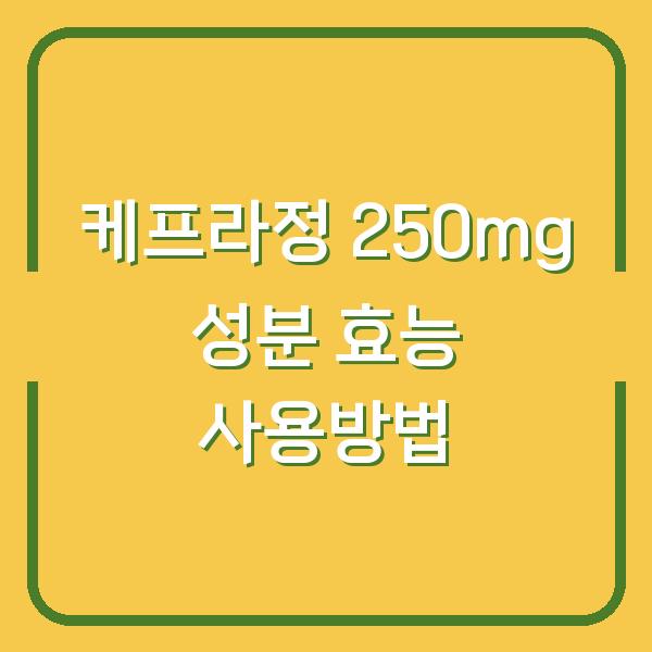 케프라정 250mg 성분 효능 사용방법
