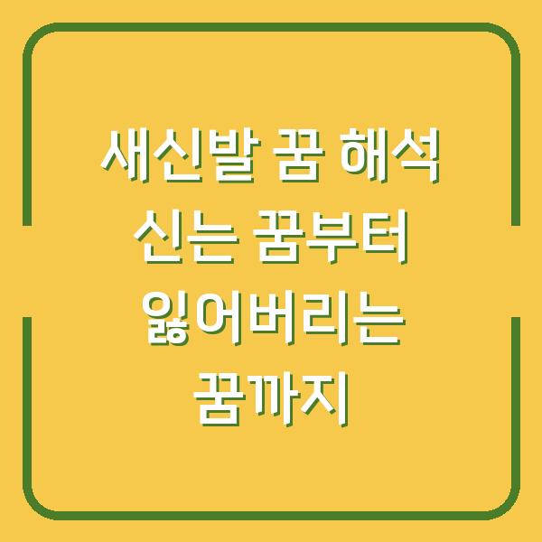 새신발 꿈 해석 신는 꿈부터 잃어버리는 꿈까지