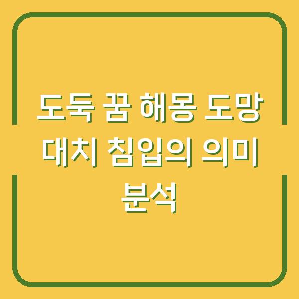 도둑 꿈 해몽 도망 대치 침입의 의미 분석